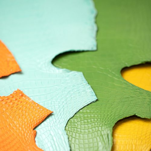 hirsch-alligator-02-high-scaled