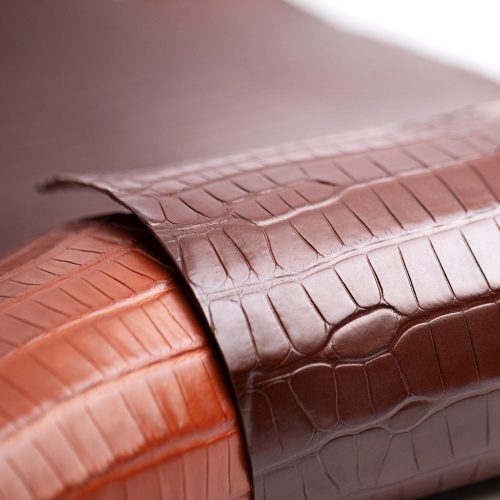 hirsch-alligator-04-high-scaled