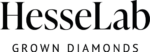 Logo HesseLab